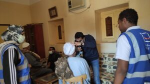 Medical convoy to Aswan 3 - Egyptian Gazette