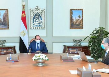 Sisi urges establishing solid electrical infrastructure for New Delta agricultural project