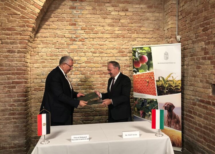 Cairo, Budapest sign co-operation protocol in fish farming field 2 - Egyptian Gazette Cairo, Budapest sign co-operation protocol in fish farming field 1 - Egyptian Gazette