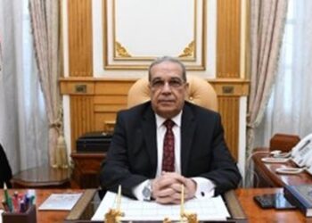 Egypt, Serbia discuss bilateral co-operation