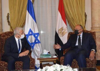 Egypt FM meets Israel’s FM