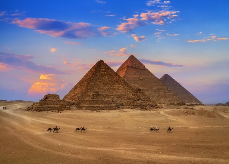 Giza Plateau hosts Pyramids Half Marathon Race 2 - Egyptian Gazette Giza Plateau hosts Pyramids Half Marathon Race 1 - Egyptian Gazette