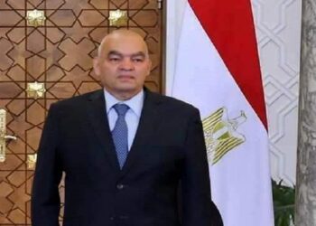 ESLA, Armed Forces greet Sisi on New Year