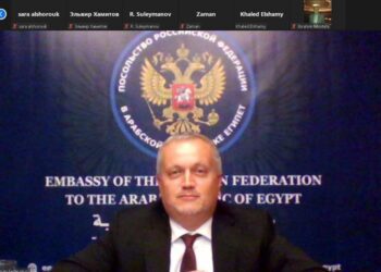 Russia values partnership with Egypt – Ambassador