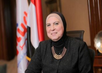 Industry min.: LE1.13b pumped in Aswan in past 7 years