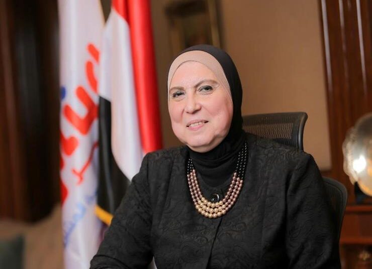 Industry min.: LE1.13b pumped in Aswan in past 7 years 2 - Egyptian Gazette Industry min.: LE1.13b pumped in Aswan in past 7 years 1 - Egyptian Gazette