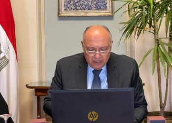 Shoukry calls for more coordination among Islamic countries