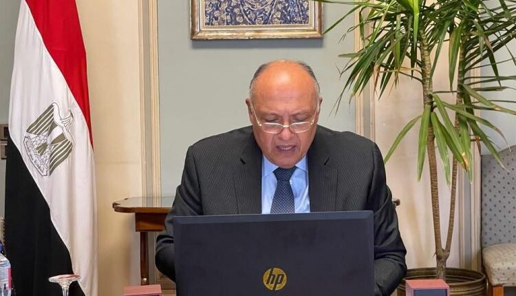 Shoukry calls for more coordination among Islamic countries 1 - Egyptian Gazette