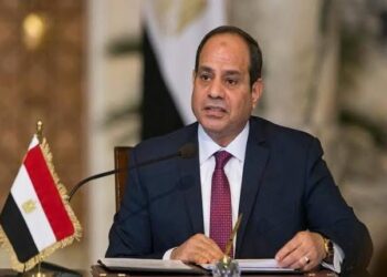 Sisi approves loan to finance energy efficiency programme