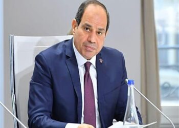 UPDATED: Sisi urges raising awareness over danger of building on agricultural lands