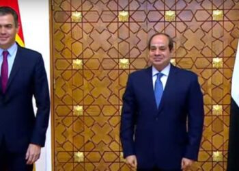 Sisi: Spain key partner of Egypt’s