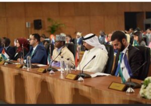 WYF to simulate Model UN Human Rights Council 8 - Egyptian Gazette WYF to simulate Model UN Human Rights Council 7 - Egyptian Gazette