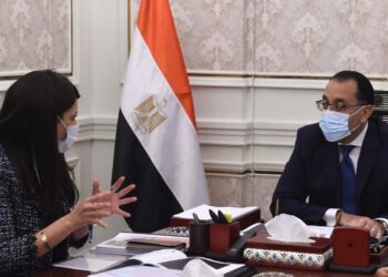 PM, el-Mashat discuss co-operation with development partners