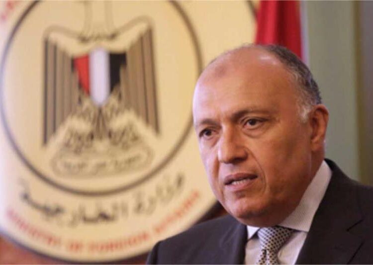 Shoukri partakes in opening session of Dakar int'l forum on peace, security 1 - Egyptian Gazette