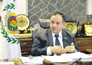 ‘Egyptian gov’t spares no effort to enhance investment climate’