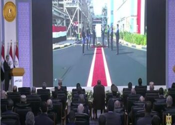 Sisi inaugurates number of electricity projects in Upper Egypt via video conference
