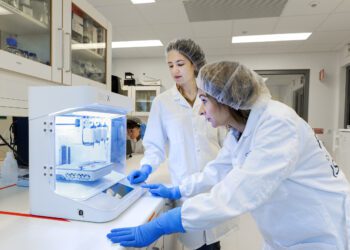 Egyptian Healthcare delegation visits Stockholm