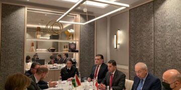 Egypt, Hungary mull new investments