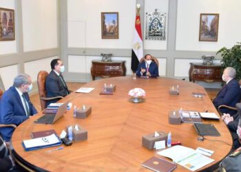Sisi reviews national food security projects