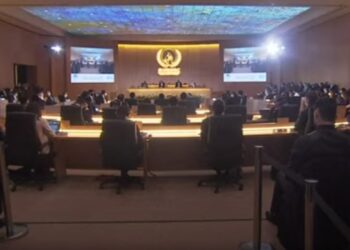 Sisi attends WYF simulation model of UN Human Rights Council