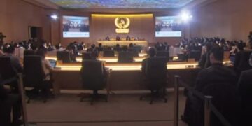 Sisi attends WYF simulation model of UN Human Rights Council