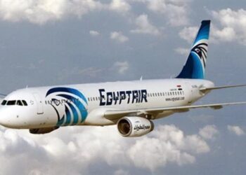 EgyptAir organises special trip for supporters of national team to Cameroon