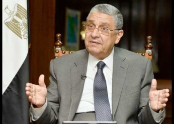 Shaker: Prices of renewable energy in Egypt competitive, shapes future of Africa
