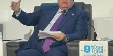 Parl’t deputy speaker says Egypt managed to diversify its energy resources thanks to mega projects