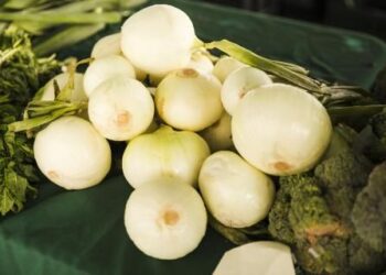 Cabinet denies exporting spoiled green onions with E. Coli bacteria