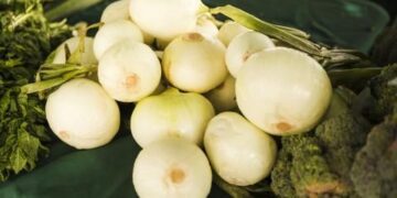 Cabinet denies exporting spoiled green onions with E. Coli bacteria