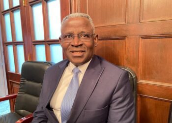Ghanaian envoy optimistic about Egypt’s economic  reforms, new capital