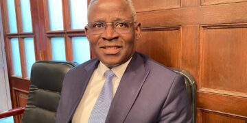 Ghanaian envoy optimistic about Egypt’s economic  reforms, new capital