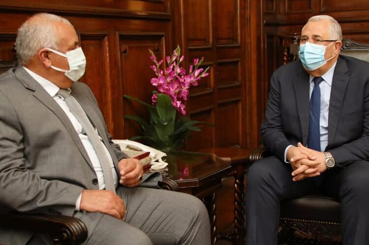 Agriculture min., New Valley governor discuss implementing Sisi's directives on Upper Egypt 1 - Egyptian Gazette