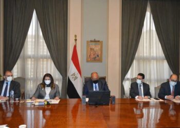 Egypt’s FM highlights importance of inter-African solidarity