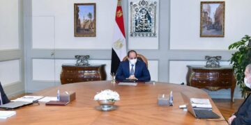 Sisi follows up efforts to develop public business sector companies