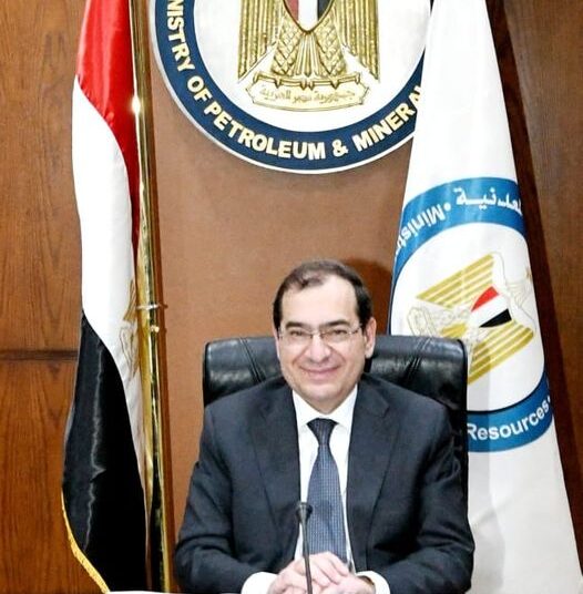 7 companies win int'l digital tender for oil, gas exploration in 8 areas 1 - Egyptian Gazette