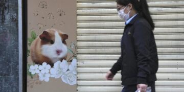 Hong Kong to cull 2,000 animals as some test Covid positive 1 - Egyptian Gazette Hong Kong to cull 2,000 animals as some test Covid positive
