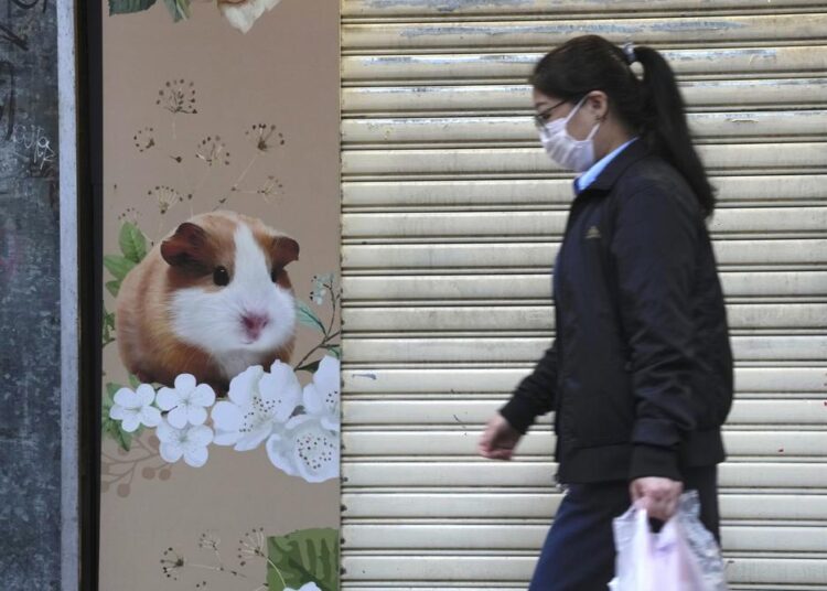 Hong Kong to cull 2,000 animals as some test Covid positive 1 - Egyptian Gazette