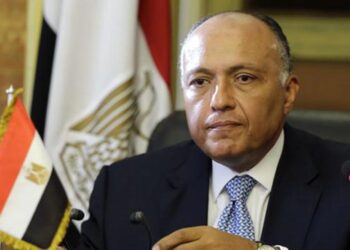 Egypt’s FM holds talks with COP26 president