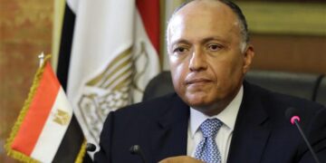 Egypt’s FM holds talks with COP26 president