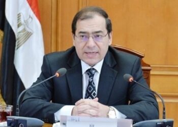 Arab ministers approve Egyptian initiative for clean energy