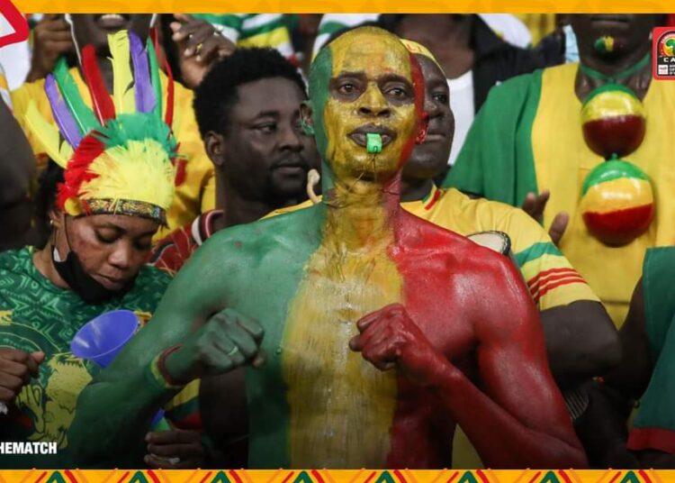 AFCON 2021: Cameroon wary of Gambia as Tunisia faces Burkina Faso 1 - Egyptian Gazette