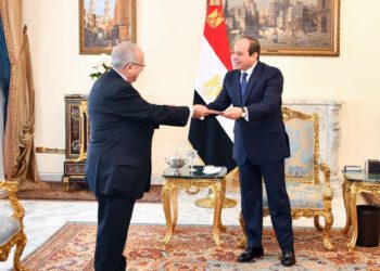 Sisi receives message from his Algerian counterpart