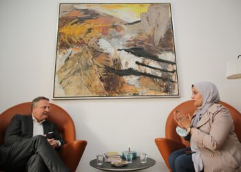 ‘Egypt regional leader in renewable energy’