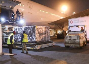 Egypt receives 667,100 doses of AstraZeneca vaccine