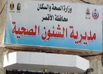 African envoys tour Luxor health units