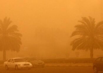 Alexandria, Dekhila ports closed due to bad weather