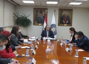 Egypt keen on attaining SDGs to improve living standards – minister