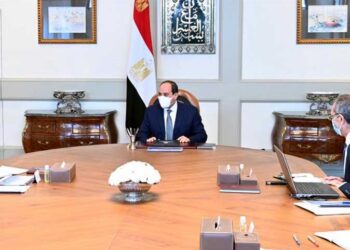 Sisi directs gov. to continue development of information technology, communications sector