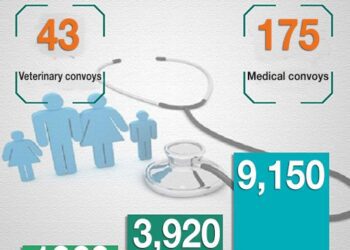 Decent Life: Unprecedented achievement for Egypt
